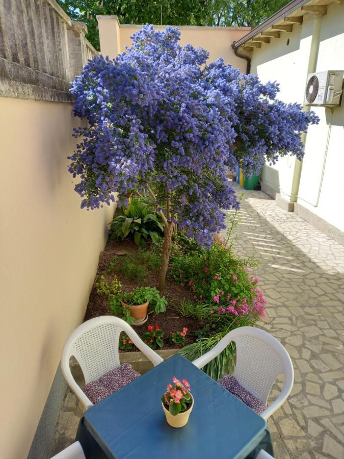 Apartment Punta Pula Bagian luar foto